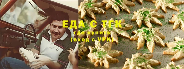 амф Ельня