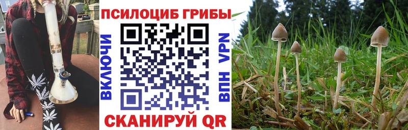 хочу наркоту  мега ТОР  Псилоцибиновые грибы ЛСД  Киржач 